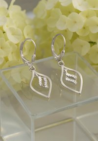 Silvriga örhängen i bladform med en vriden design och infattade med små klara kristaller. Visas på en transparent ställning med blommor i bakgrunden.