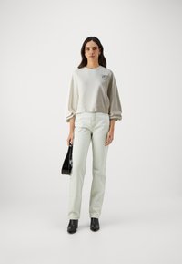 Pinko CERESOLE MAGLIA - Ikdienas džemperis - bianco latte