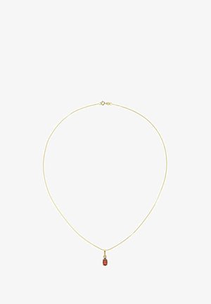 Hieno kulta ketjukaulakoru, jossa on pieni soikea punainen jalokiviriipus ja kevätsormuslukko valkoisella taustalla.