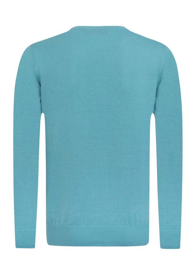 Herren Strickjacken | Denim Culture ALONZA Strickpullover turkis/türkis - LG78140 Herren Strickjacken | Denim Culture ALONZA Strickpullover turkis/türkis - LG78140