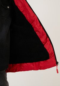LELA REGULAR FIT - Zimska jakna - red