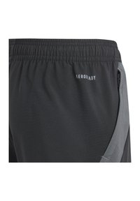 Zwarte sportshorts met een gestructureerde afwerking, met een grijze zijpaneel, elastische tailleband en een klein ritsvakje. "AEROREADY" logo zichtbaar.