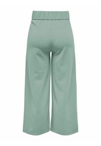 Pantaloni larghi di colore verde chiaro, realizzati in tessuto morbido, con una cintura elastica e una vestibilità rilassata, dotati di una texture liscia e senza motivi visibili.