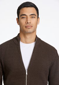 Lindbergh O-NECK STRUCTURE - Tröja med dragkedja - brown mel