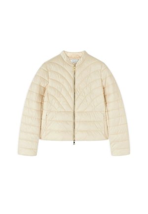 Motivi, GIACCA IMBOTTITA LIGHTWEIGHT CORTA CON COLLO ALTO - Winterjas - beige