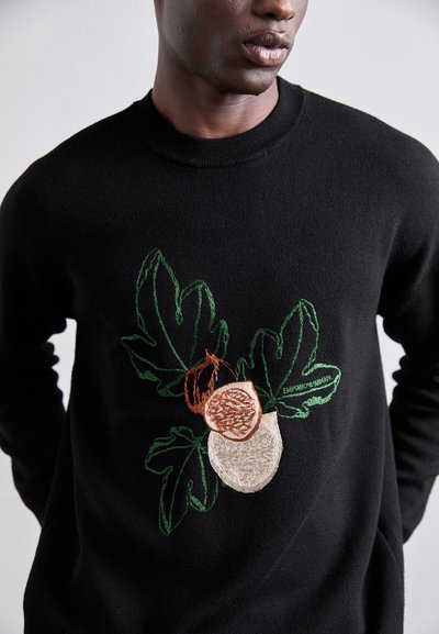 Pull noir avec un motif central brodé de feuilles et de fruits dans des nuances de vert, marron et beige. Texture douce, col ras du cou.