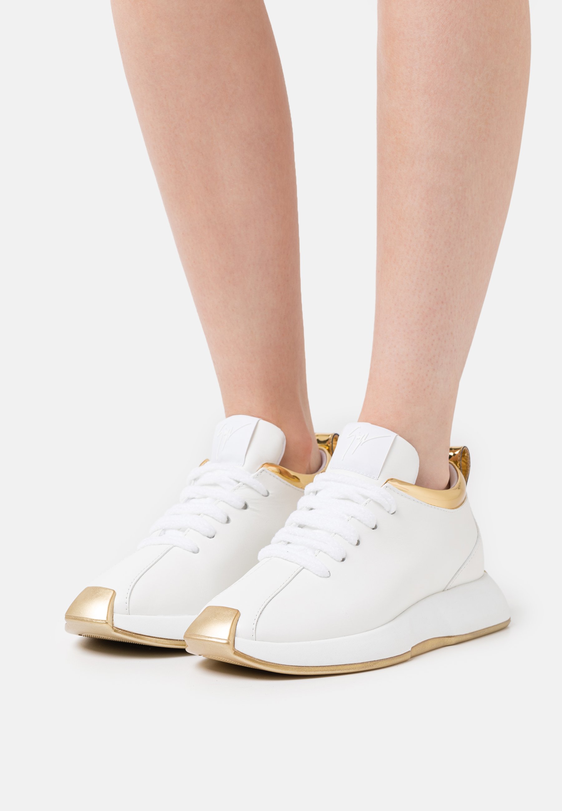 giuseppe zanotti omnia