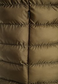 Cars Jeans JOKY - Zimní kabát - army