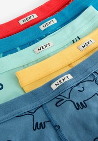 Next SOFT WAISTBAND 5 PACK - REGULAR FIT - Panties - seaside print
