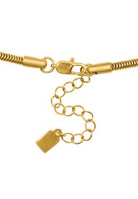 Collana in metallo dorato con chiusura a gancio, dotata di estensione della catena e di un piccolo ciondolo a forma di etichetta. Texture liscia con finitura lucida.