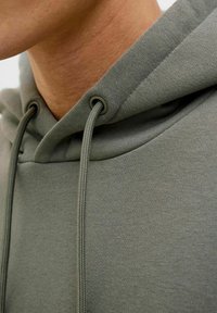 Green hoodie featuring a soft, textured fabric, drawstrings with metal eyelets, and a rounded neckline with visible stitching details.