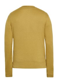 Senfgelber Strickpullover mit langen Ärmeln, gerippten Bündchen und Saum. Weiche Textur, schlichtes Design und runde Ausschnittform. Nur Rückansicht.