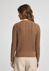Suéter marrón de punto trenzado con mangas largas, cuello redondo y dobladillo acanalado. Patrón texturizado que se extiende verticalmente a lo largo de la parte posterior.
