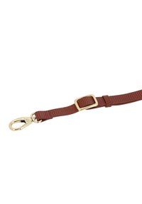 Guinzaglio per cani di colore marrone con texture, dotato di un moschettone e una fibbia in metallo dorato. Il design presenta un motivo a griglia sulla cinghia. Materiale resistente per una maggiore robustezza.