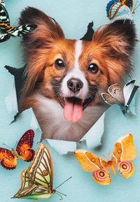 Molo RENIZA LONG SLEEVES - Top dugih rukava - turquoise