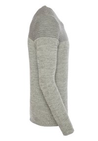Pull en maille gris clair avec manches longues, couture texturée sur les épaules et silhouette ajustée. Apparence de tissu doux.