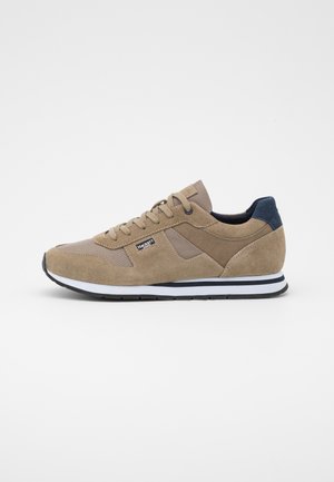 SHEFFIELD EYELT TRAINER - Baskets basses - taupe