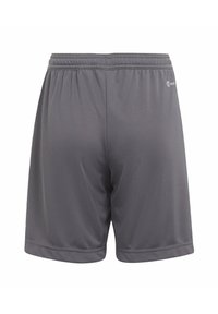 adidas Performance ENTRADA - Korte broeken - grey