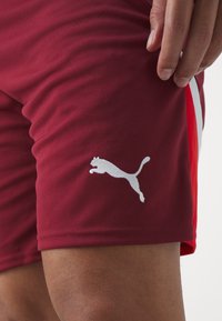 Puma SWITZERLAND SFV REPLICA - Landsholdstrøjer - team regal red/red