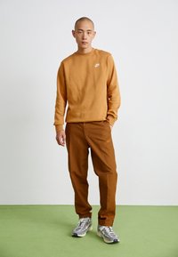 Nike Sportswear CRW - Ikdienas džemperis - flax/white