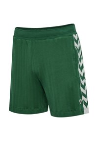 Zielone sportowe spodenki wykonane z prążkowanej tkaniny, z białym wzorem chevron po boku oraz prostym pasem z detalem kieszeni.