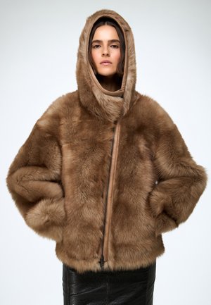 LINDA - Giacca invernale - brown