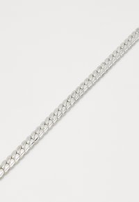 Wild For The Weekend ASHLAND NECKLACE - Halsband - silver-coloured