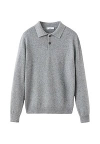 Langarmshirt - grey
