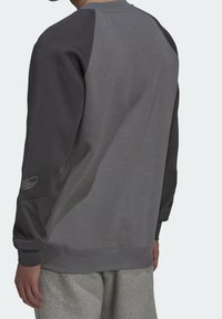 adidas Originals Mikina - grey