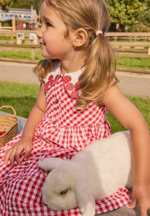 Fiatal lány piros kockás ruhában, eper motívumos gallérral, kint ül, és gyengéden tart egy fehér nyulat az ölében.
