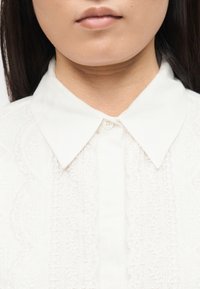 Κοντινό πλάνο στο κάτω μέρος του προσώπου και τον λαιμό ενός ατόμου που φοράει λευκό δαντελένιο πουκάμισο με μυτερό γιακά, κουμπωμένο επάνω.