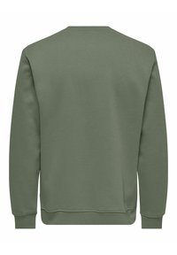 Felpa verde con collo rotondo, polsini e orlo a coste, e una texture liscia. Nessun logo o motivo visibile sul retro.