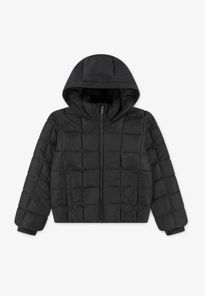 Abercrombie & Fitch MIDWEIGHT PUFFER JACKET UNISEX - Veste d'hiver - meteorite