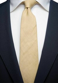 Mörkblå kavaj med strukturerade axlar, vit skjorta och en ljusbeige slips med ett diagonalt mönster.