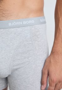 Graue Boxershorts mit weichem Material und elastischem Bund, auf dem "BJÖRN BORG" in Weiß steht. Die Nahaufnahme hebt die Passform und die Nähdetails hervor.