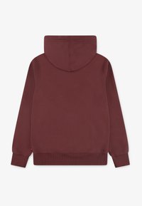 Sudadera color marrón con capucha, mangas largas y puños y dobladillo acanalados. Fabricada en una tela suave con una textura lisa, sin logotipos visibles.