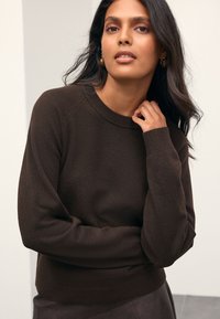 Dark brown pullover sweater with a classic crew neckline and ribbed cuffs. Soft fabric with a smooth texture, minimalistic design.