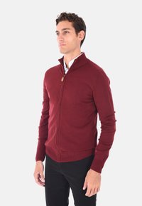 Maglione borgogna con zip, realizzato in morbido tessuto a maglia, con colletto alto, maniche lunghe e polsini e orlo a coste.