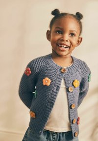 Next REGULAR FIT - Kardigán - blue