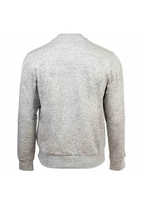 Grauer Sweatshirt mit Rundhalsausschnitt, langen Ärmeln und gerippten Bündchen. Leicht strukturierten Stoff mit einem schlichten, einheitlichen Design auf der Rückseite.