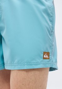 Τιρκουάζ μαγιό σορτς στον μηρό ενός ατόμου με μικρό καφέ και λευκό έμπλαστρο λογότυπου Quiksilver κοντά στο τελείωμα.