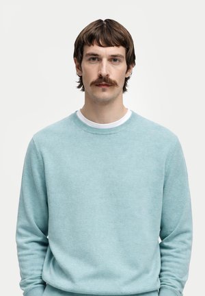 Mann mit braunen Haaren und Schnurrbart, der einen hellblauen Rundhalsausschnittpullover über einem weißen Hemd trägt und vor einem einfarbigen Hintergrund nach vorne blickt.