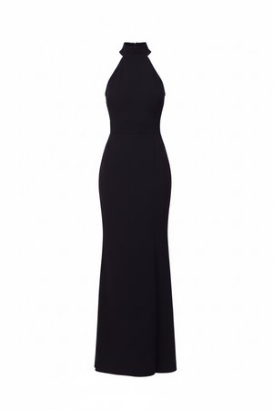Black sleeveless floor-length gown with high halter neckline and fitted silhouette.