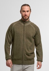 Knit zip-up sweater in olive green with a high collar, raglan sleeves, and subtle texture. Features a front zipper and ribbed hem.