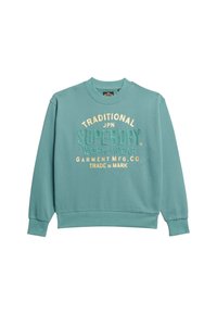 Superdry & Co Sudadera - green