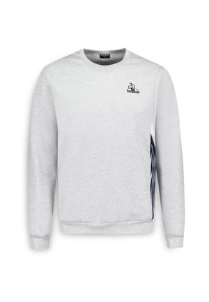 Felpa grigia chiara realizzata in morbido tessuto, con collo rotondo, maniche lunghe e un logo blu navy sul petto con dettagli blu navy sui lati.