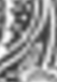 Rozmyty abstrakcyjny obraz z kontrastowymi jasnymi i ciemnymi obszarami, zawierający gładkie tekstury i organiczne, zakrzywione kształty.