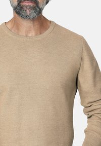 Hombre con barba gris que lleva un suéter de punto texturizado beige con cuello redondo y mangas largas sobre un fondo claro.