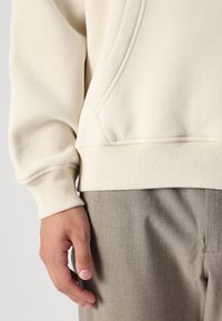 Abercrombie & Fitch Micro-Logo Popover Hoodie - Sweatshirt - birch