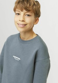 Jack & Jones Junior JORVESTERBRO CREW NECK NOOS - Ikdienas džemperis - stormy weather